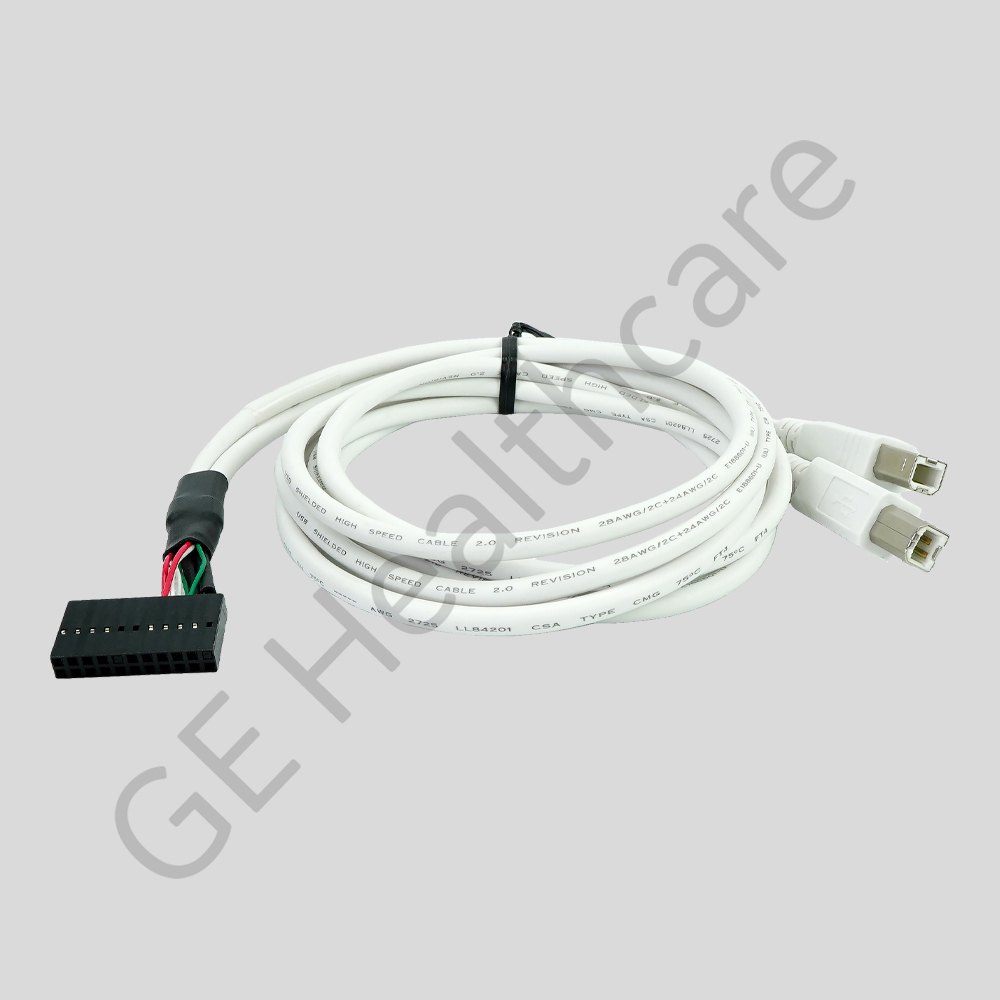Harness Case Dual USB Y-Cable 2X Internal