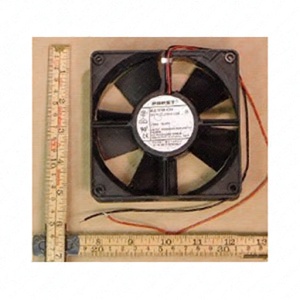 Fan  (DPA) Fan  (DPA)