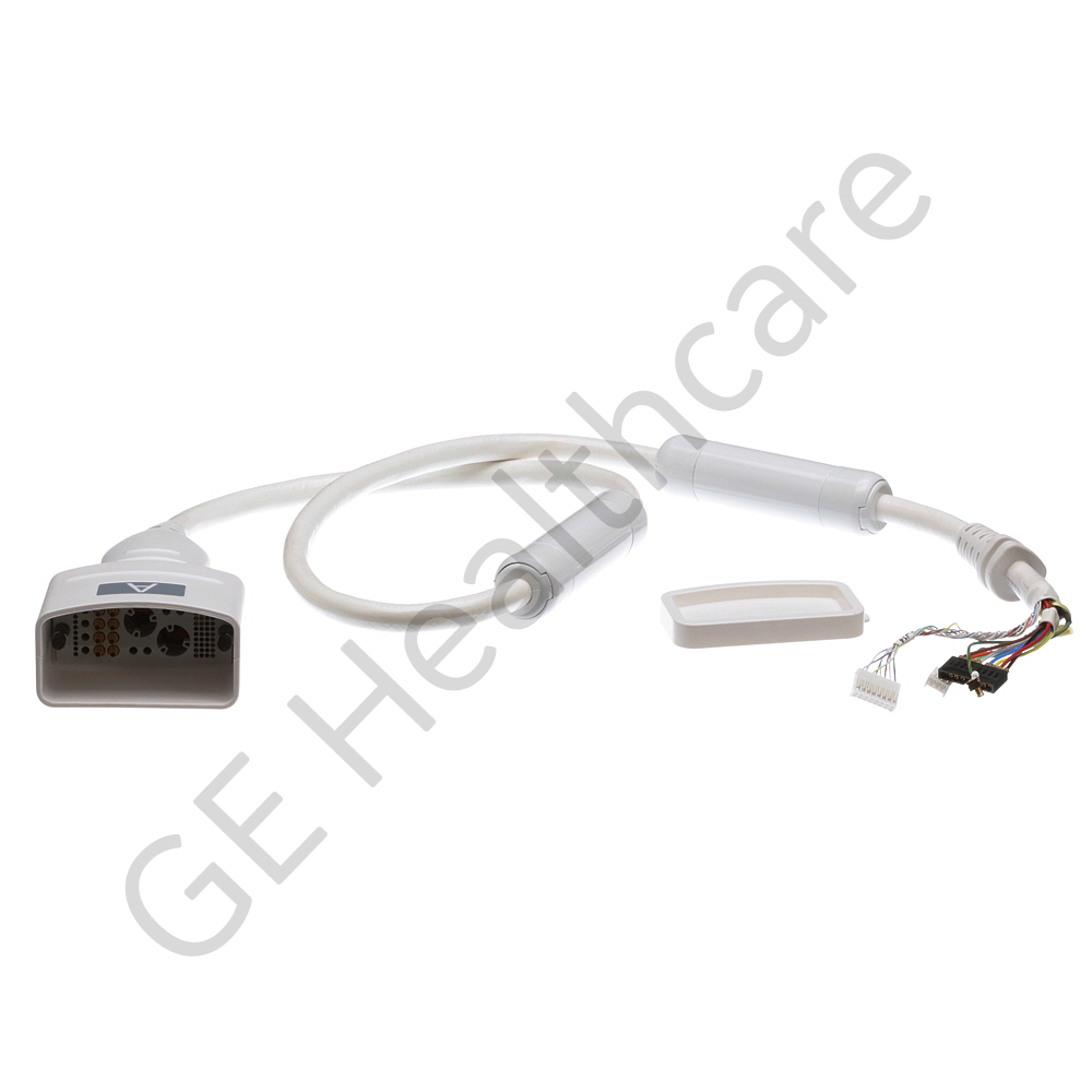 Head Neck Spine (HNS) Torasic Lumbar Unit Cable 2423318