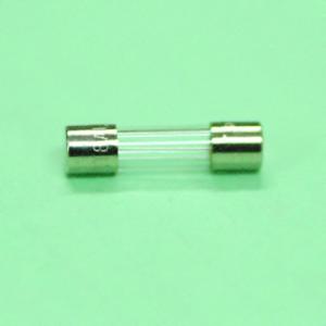 Fuse 8 Amp Type T 5X20 mm Fuse 8 Amp Type T 5X20 mm