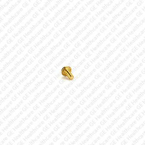 Brass Slotted Bound Head Screw 8-32 x 3/8 Brass Brass Slotted Bound Head Screw 8-32 x 3/8 Brass