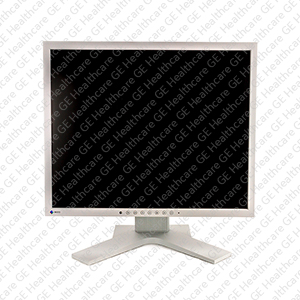 CT EIZO 19" LCD Monitor