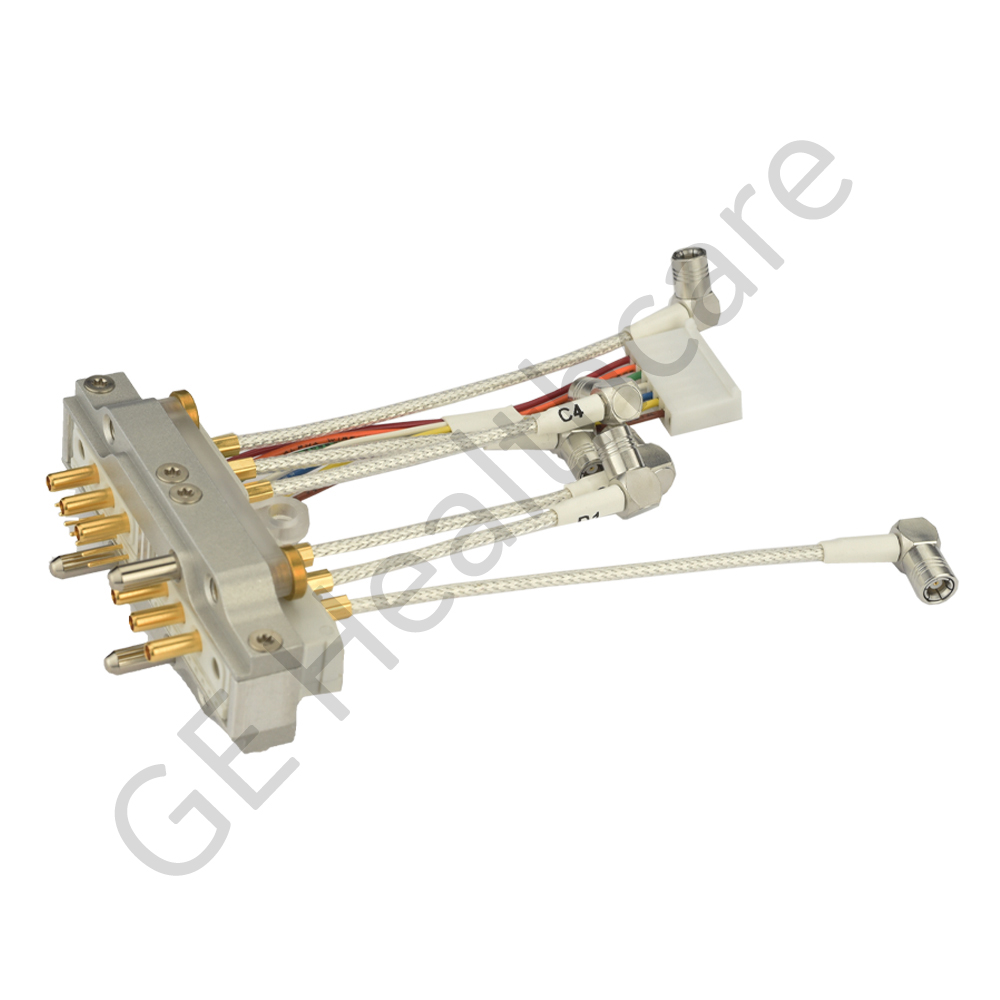 12 Channel Torso Anterior 12 Channel Torso Anterior